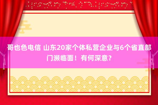 哥也色电信 山东20家个体私营企业与6个省直部门濒临面！有何深意？