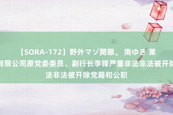 【SORA-172】野外マゾ開眼。 南ゆき 莱商银行股份有限公司原党委委员、副行长李锋严重非法非法被开除党籍和公职