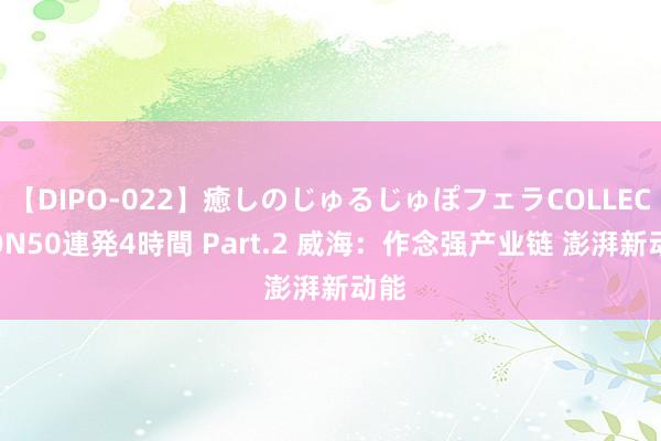 【DIPO-022】癒しのじゅるじゅぽフェラCOLLECTION50連発4時間 Part.2 威海：作念强产业链 澎湃新动能