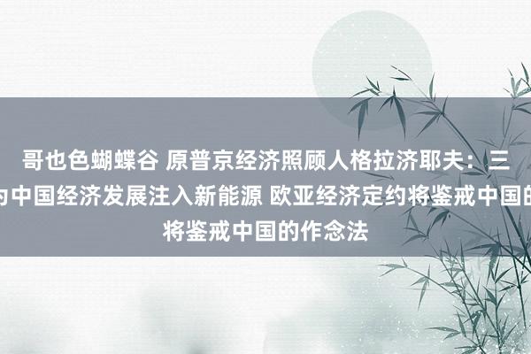 哥也色蝴蝶谷 原普京经济照顾人格拉济耶夫：三中全会为中国经济发展注入新能源 欧亚经济定约将鉴戒中国的作念法