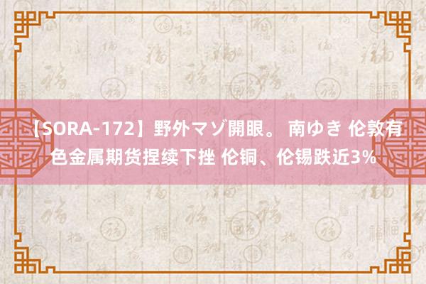 【SORA-172】野外マゾ開眼。 南ゆき 伦敦有色金属期货捏续下挫 伦铜、伦锡跌近3%