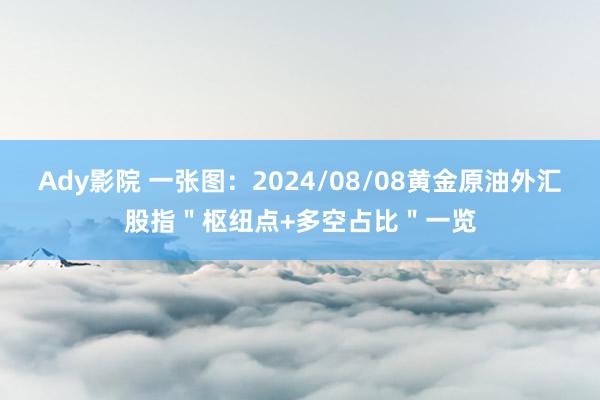 Ady影院 一张图：2024/08/08黄金原油外汇股指＂枢纽点+多空占比＂一览