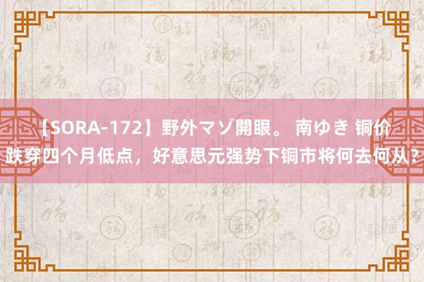 【SORA-172】野外マゾ開眼。 南ゆき 铜价跌穿四个月低点，好意思元强势下铜市将何去何从？