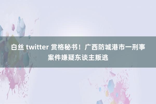 白丝 twitter 赏格秘书！广西防城港市一刑事案件嫌疑东谈主叛逃