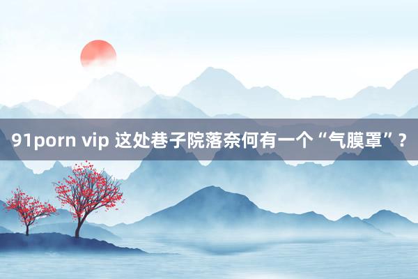 91porn vip 这处巷子院落奈何有一个“气膜罩”？