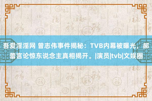 吾爱淫淫网 曾志伟事件揭秘：TVB内幕被曝光，郝蕾言论惊东说念主真相揭开。|演员|tvb|文娱圈