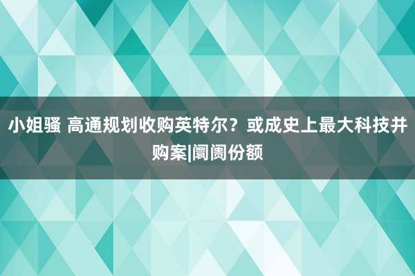 小姐骚 高通规划收购英特尔？或成史上最大科技并购案|阛阓份额