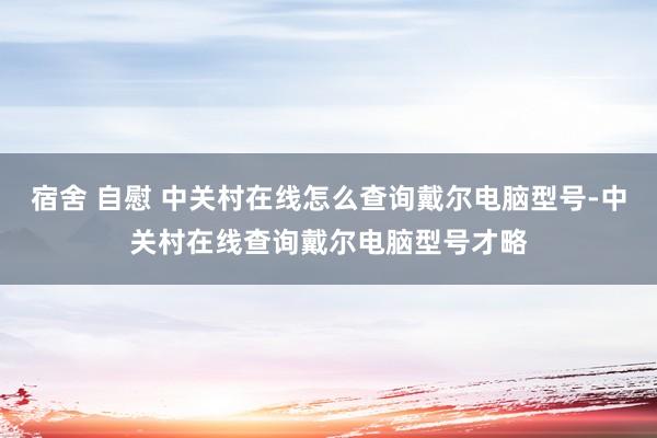 宿舍 自慰 中关村在线怎么查询戴尔电脑型号-中关村在线查询戴尔电脑型号才略