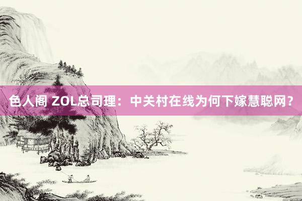 色人阁 ZOL总司理：中关村在线为何下嫁慧聪网？