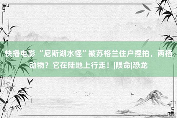 快播电影 “尼斯湖水怪”被苏格兰住户捏拍，两栖动物？它在陆地上行走！|陨命|恐龙